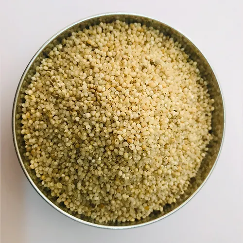 Organic Barnyard Millet  | Kuthiraivaali Arisi